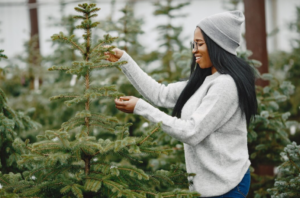 woman in a white sweater and gray hat holds the Christmas tree branches of the tree, other trees behind in the background