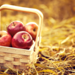 A Home Gardener’s Guide: How to Take Care of Apple Trees