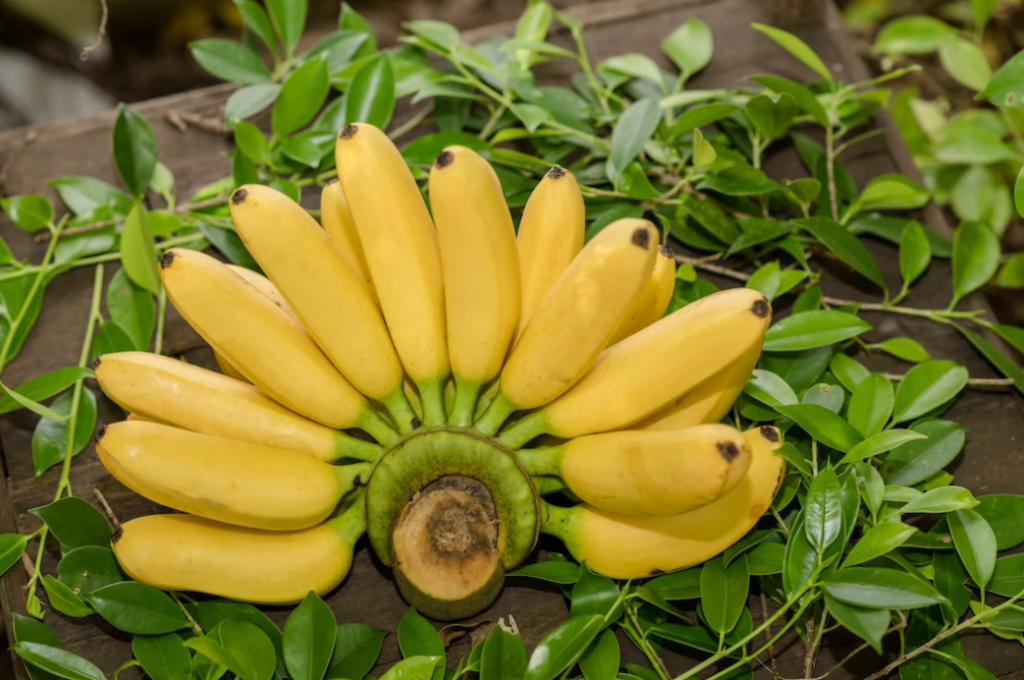 A ripe bunch of yellow bananas is laid out on a wooden surface, encircled by fresh green leaves.